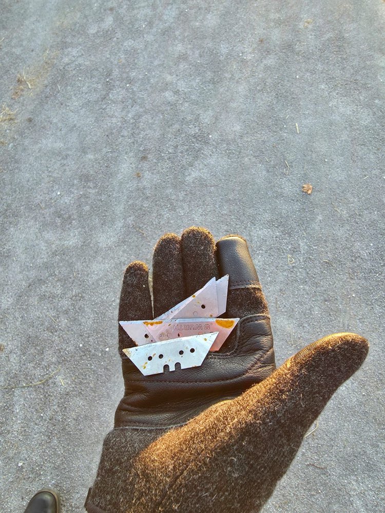 Giftköder-Rasiermesserklingen-Profilbild