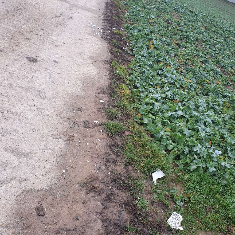 Giftköder-Zerbrochene Teller und dessen Scherben-Profilbild