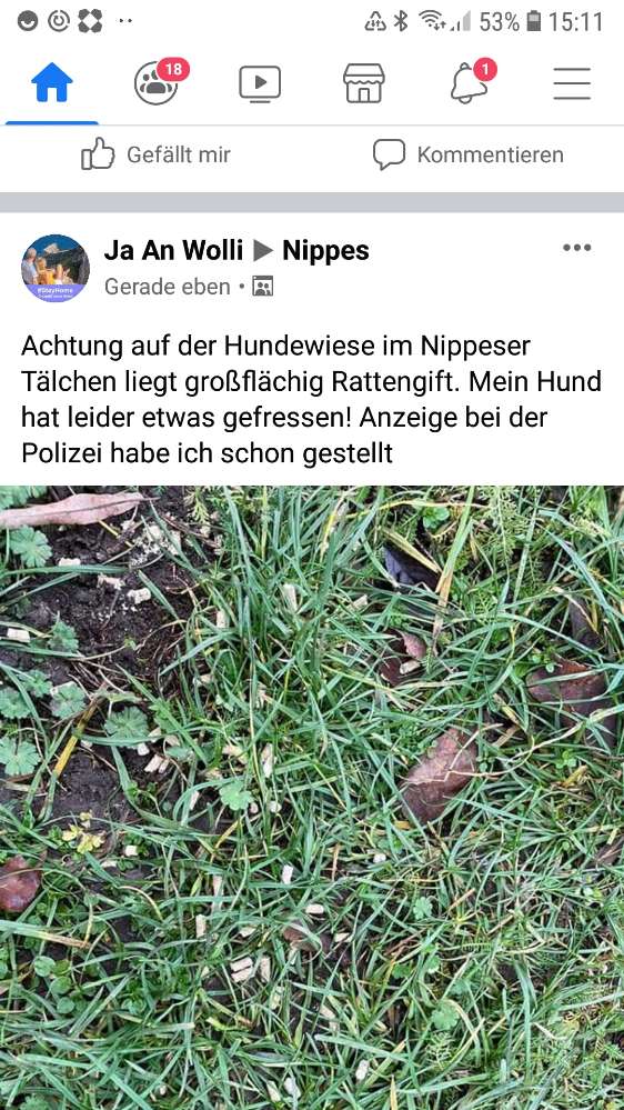 Giftköder-Giftköder in Köln Nippeser Tälchen-Profilbild