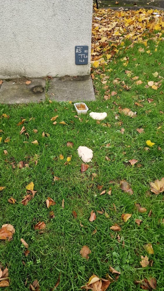 Giftköder-Wieder irgendwelche Essensreste?!-Profilbild