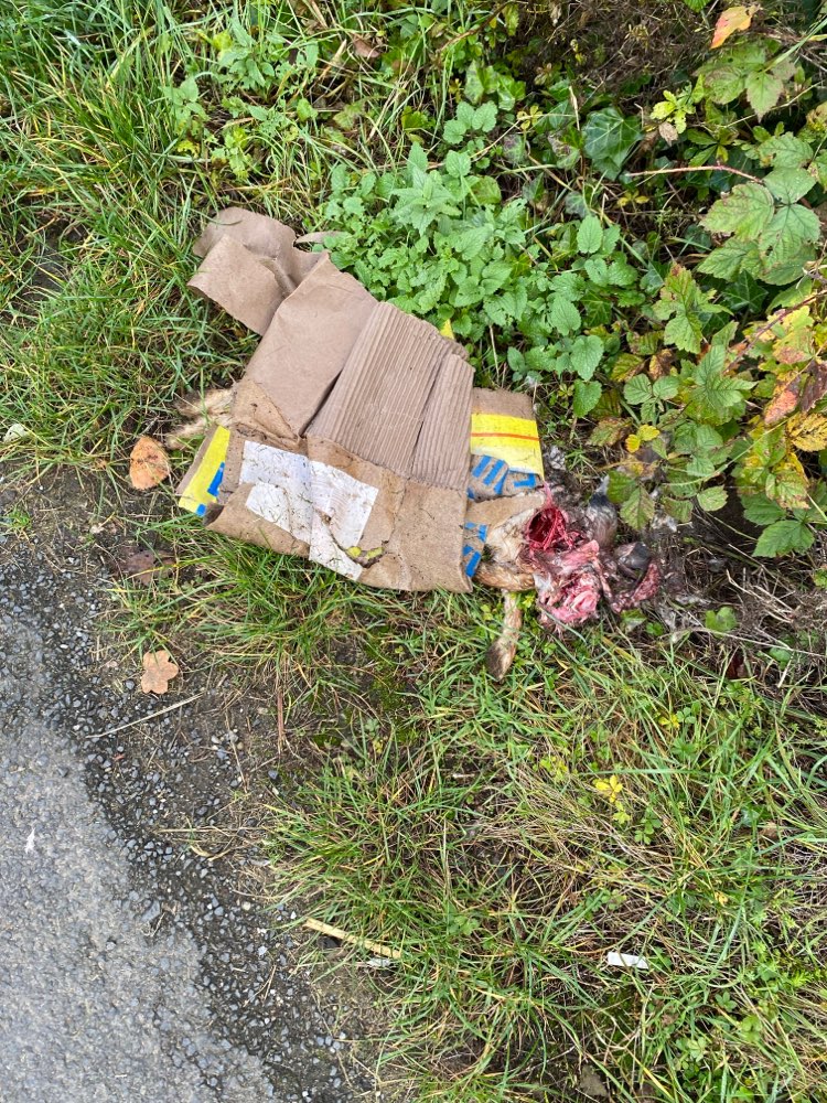 Giftköder-Toter Hase-Profilbild