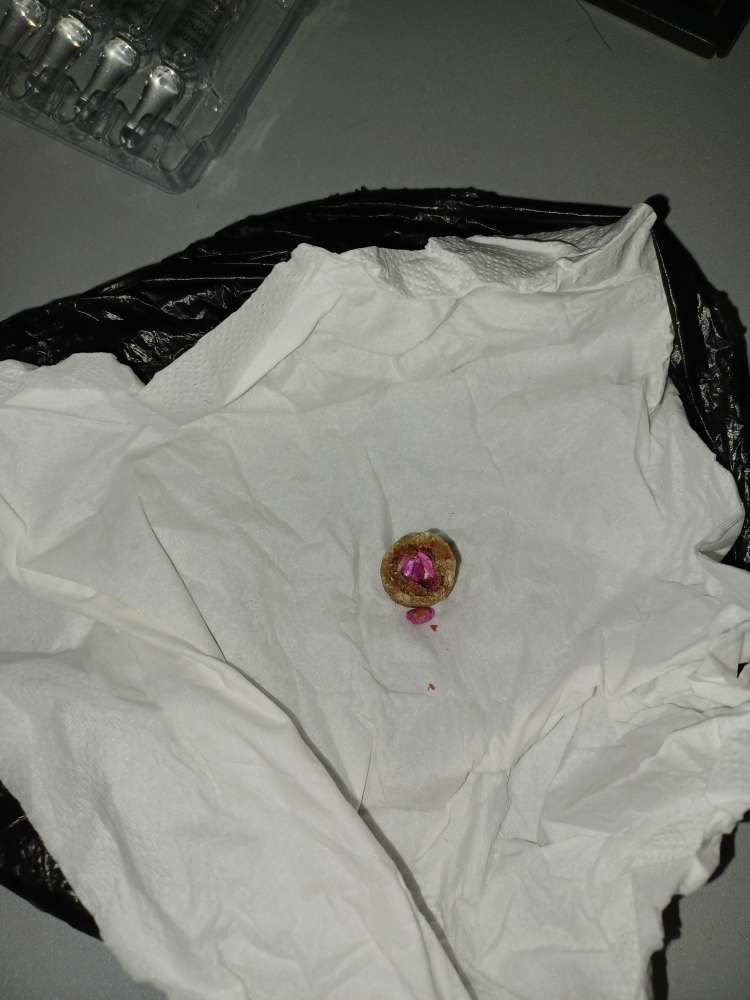 Giftköder-Giftköder-Profilbild