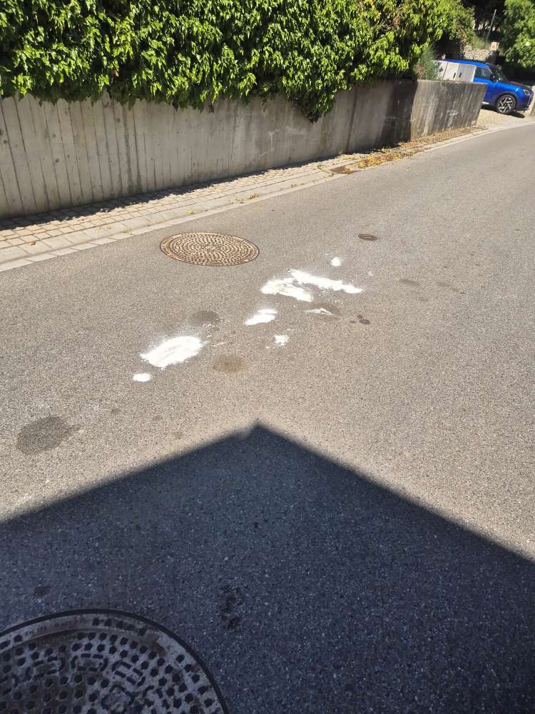 Giftköder-Gift ?!-Profilbild