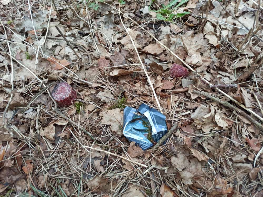 Giftköder-Eventuell Giftköder !-Profilbild