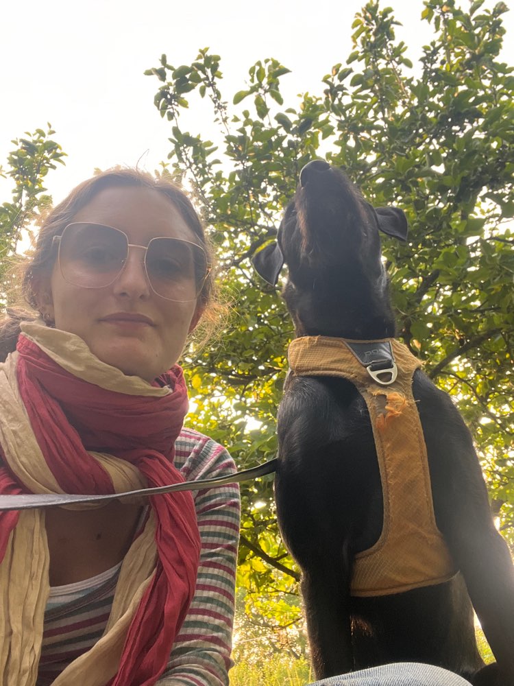 Hundetreffen-Hundetreffen, Gassi- oder Spielerunde-Profilbild