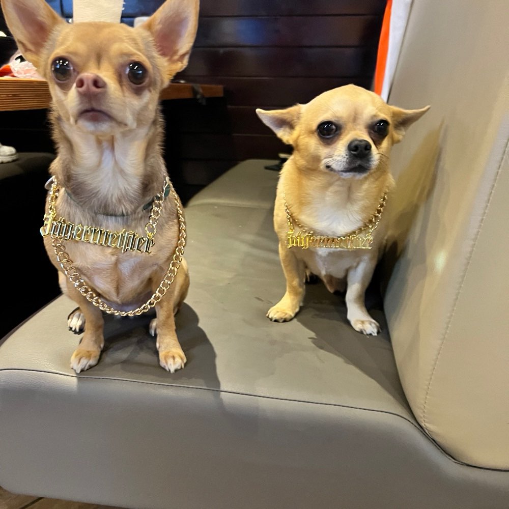 Hundetreffen-Mini Hunde Treff in Bramfeld-Profilbild