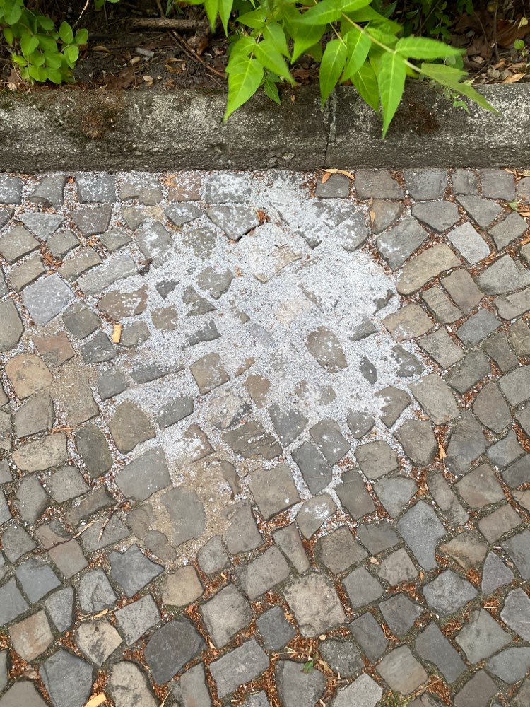 Giftköder-White powder-Profilbild