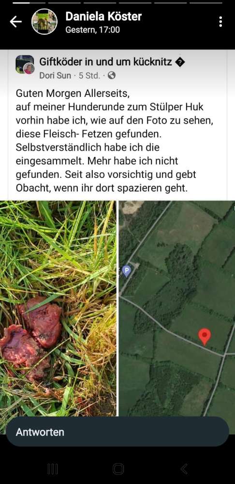 Giftköder-Fleischstücke Stülper Huk-Profilbild