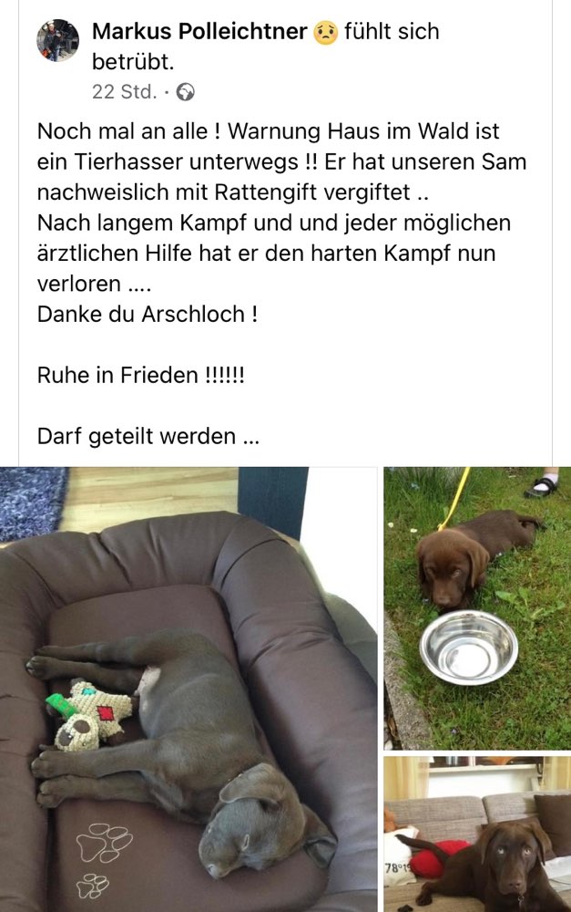 Giftköder-Rattengift-Profilbild