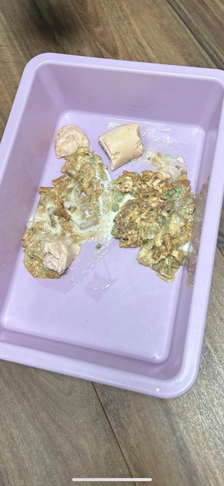 Giftköder-Giftköder-Profilbild