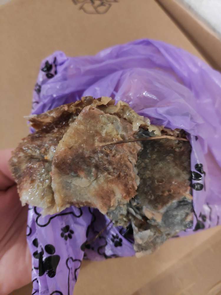 Giftköder-Vorsicht Fischhaut und Fischabfälle-Profilbild