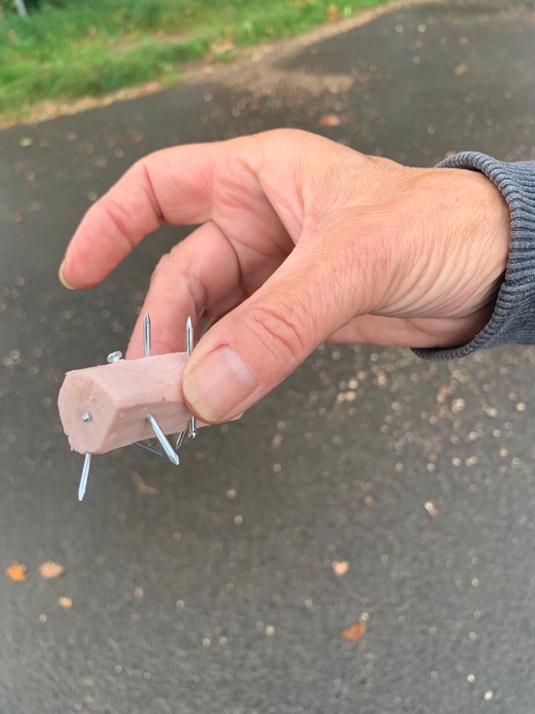 Giftköder-Mit Nägeln präparierte Fleischwurst-Profilbild