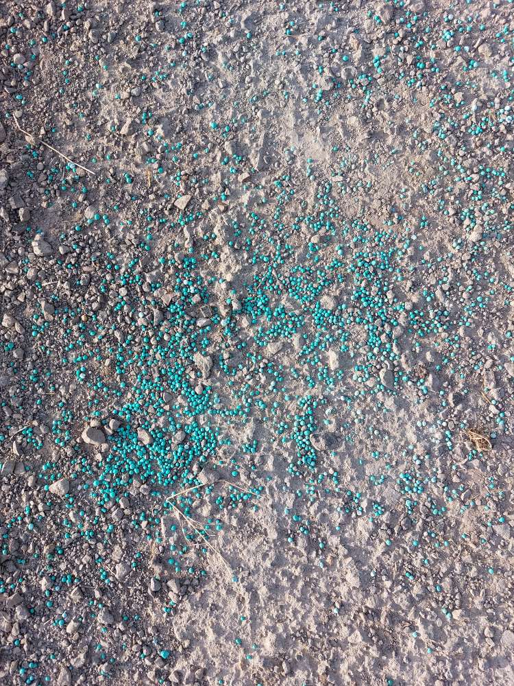 Giftköder-Schneckenkorn auf Feldweg-Profilbild