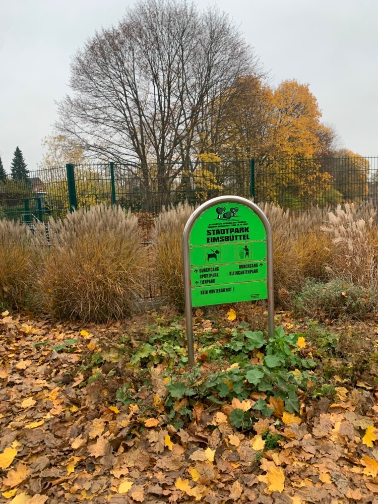 Giftköder-Ausgelegter Käse-Profilbild
