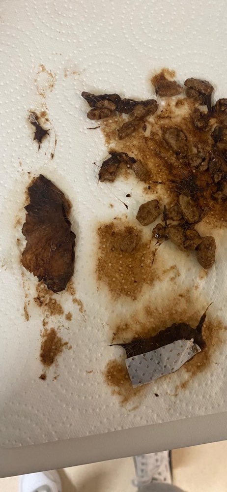 Giftköder-Giftköder-Profilbild