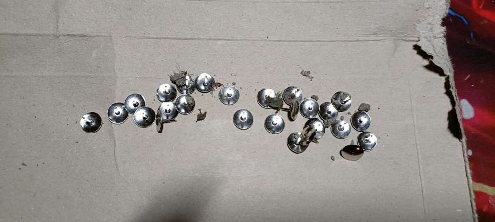 Giftköder-Reissnägel-Profilbild