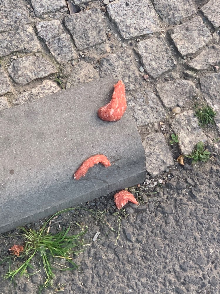 Giftköder-Hackfleisch-Profilbild