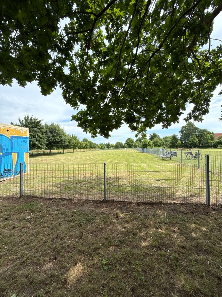 Hundetreffen-Spieltreffen am Hundeplatz in Pruchten-Profilbild