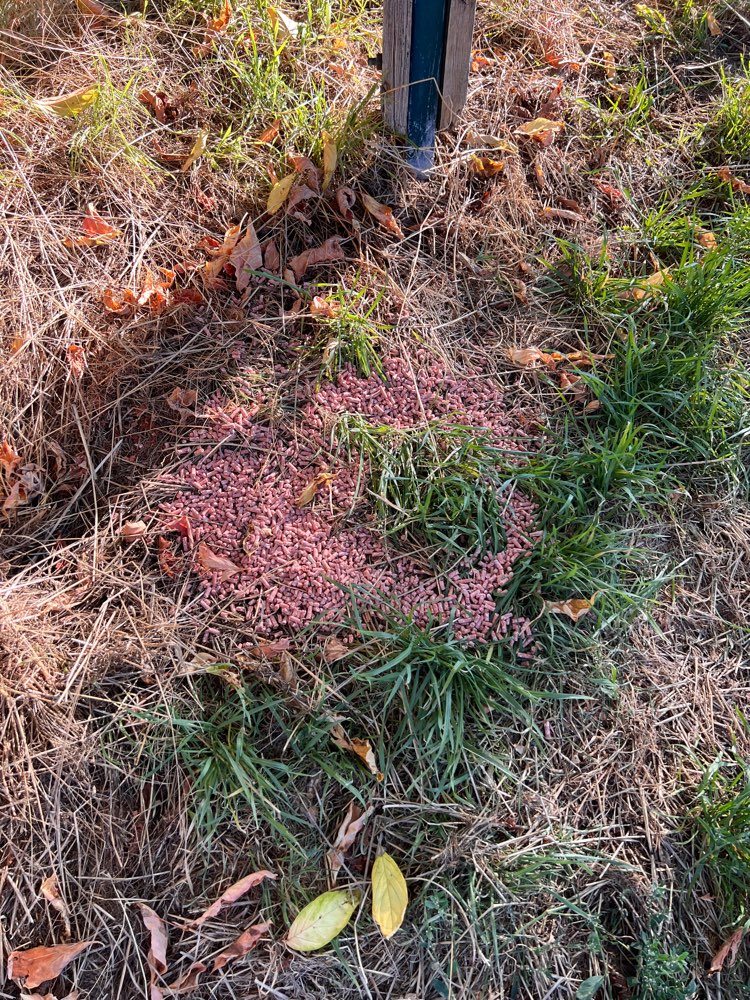 Giftköder-Rattengift ACHTUNG - Wü Weinberge-Profilbild