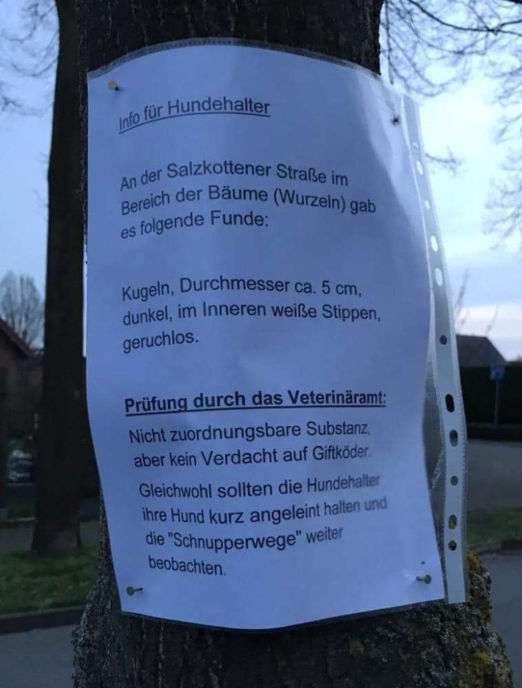 Giftköder-Giftkoeder-Profilbild