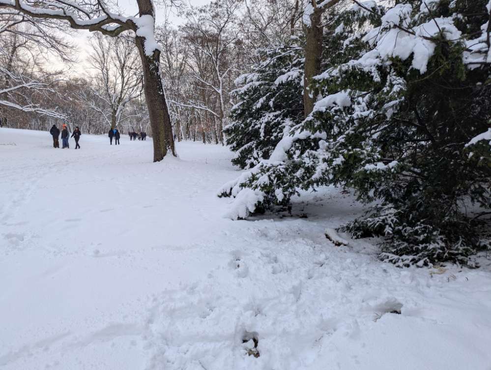 Giftköder-Möglicher Giftköder-Profilbild