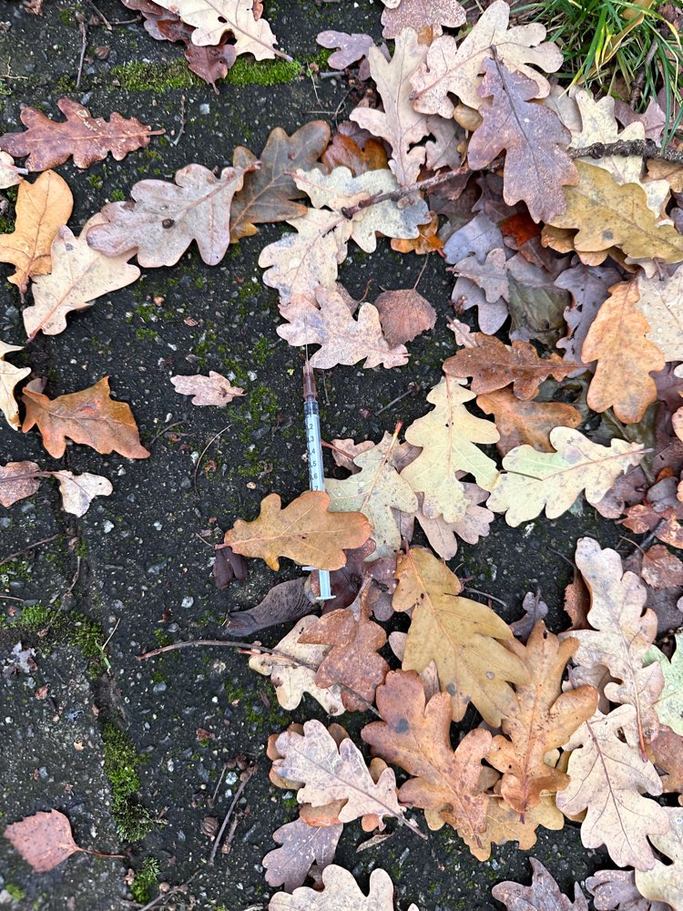 Giftköder-Spritze mit Nadel-Profilbild