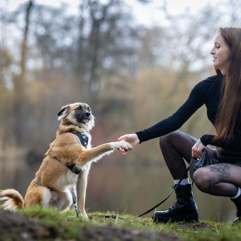 Hundetreffen-Social Walk mit und ohne Hundekontakt 🌼-Profilbild