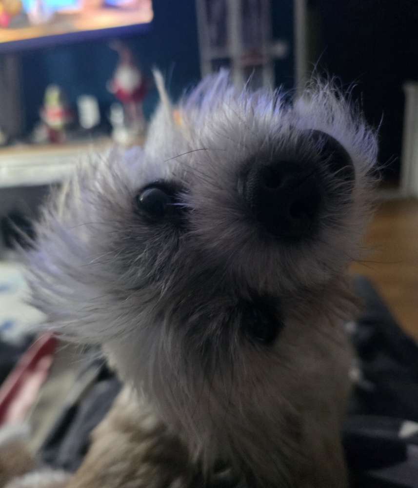 Alles steht Kopf 🙃 Banner