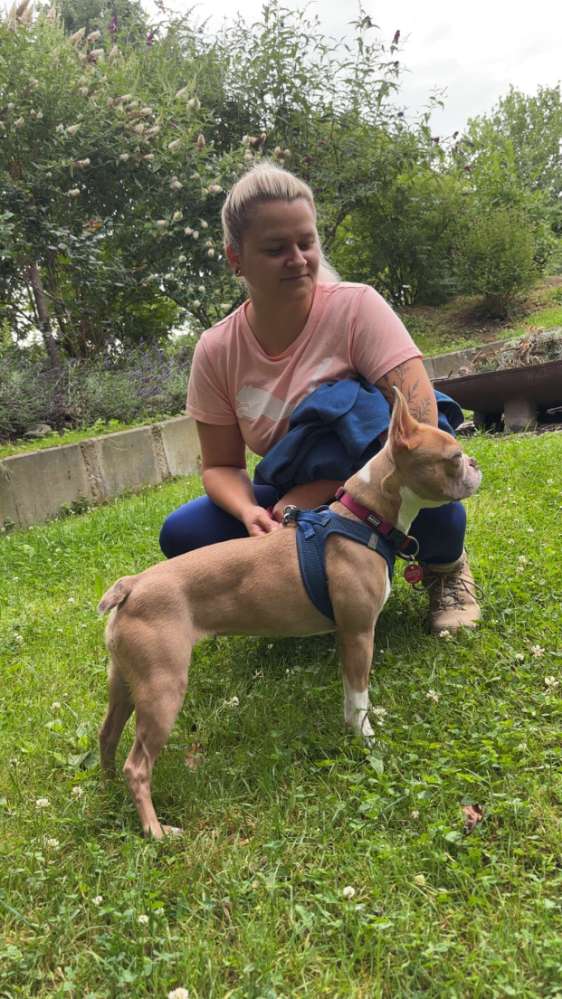 Hundetreffen-Social Walks Löhne & Umgebung-Profilbild