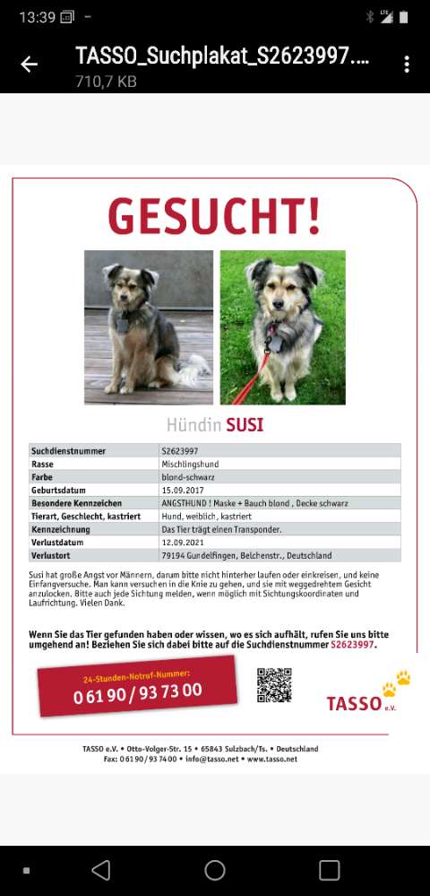 Suchmeldung-Susi-Profilbild