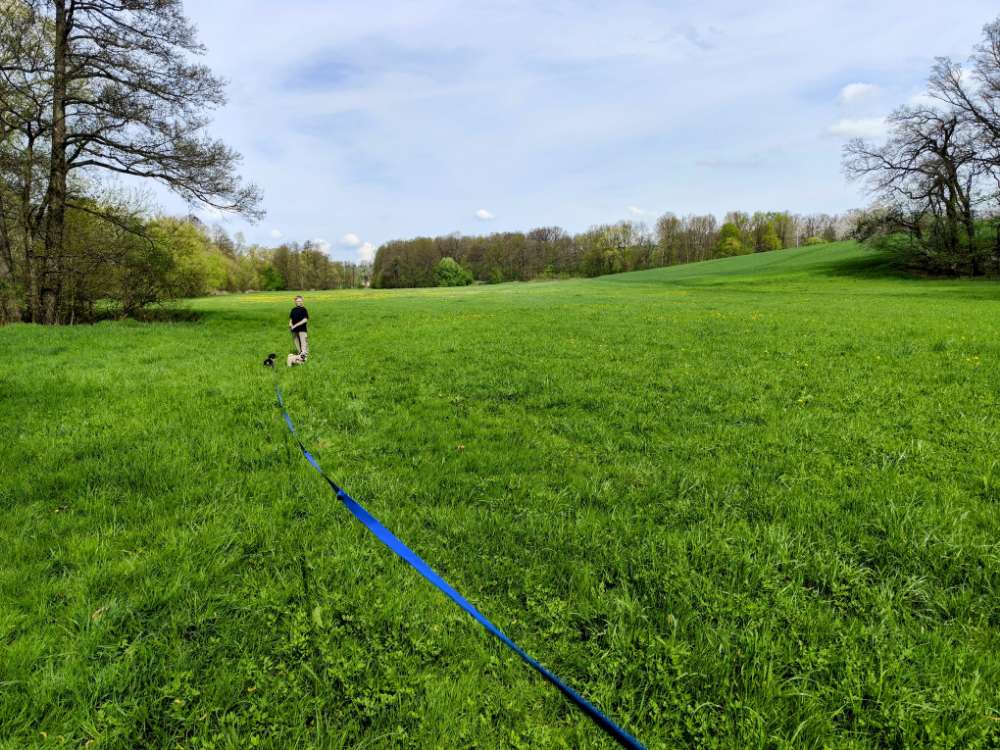 Hundetreffen-Dackeltreff zum Toben und Lernen im Römertal-Profilbild