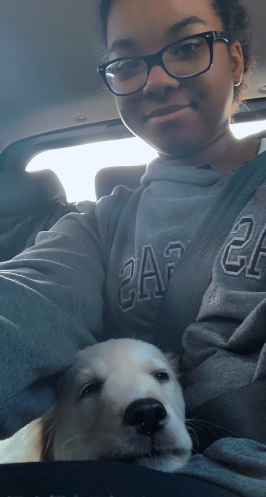 Hundetreffen-Hunde treffen am Wochenende beim Tempelhofer Feld-Profilbild