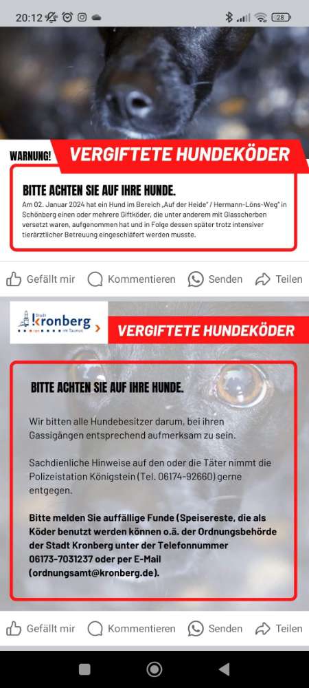 Giftköder-Köder/Giftköder/Glasscherben-Profilbild