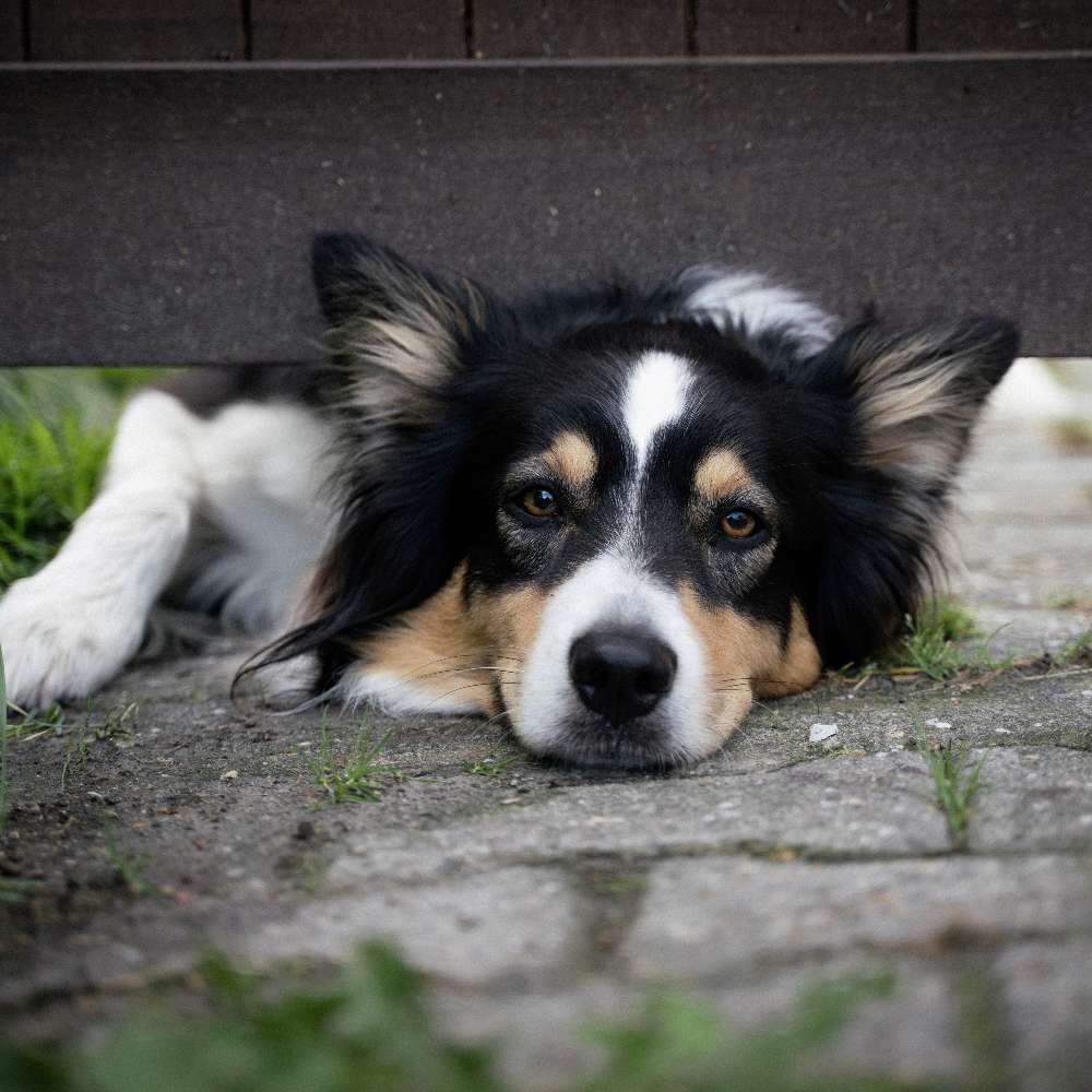 Körpersprache lesen & verstehen Banner
