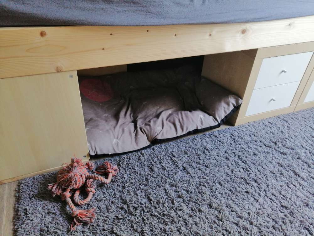 Haben nun unter unserem Bett eine Höhle :) Yukina mag sie gerne und liegt dort, wenn wir schlafen.
