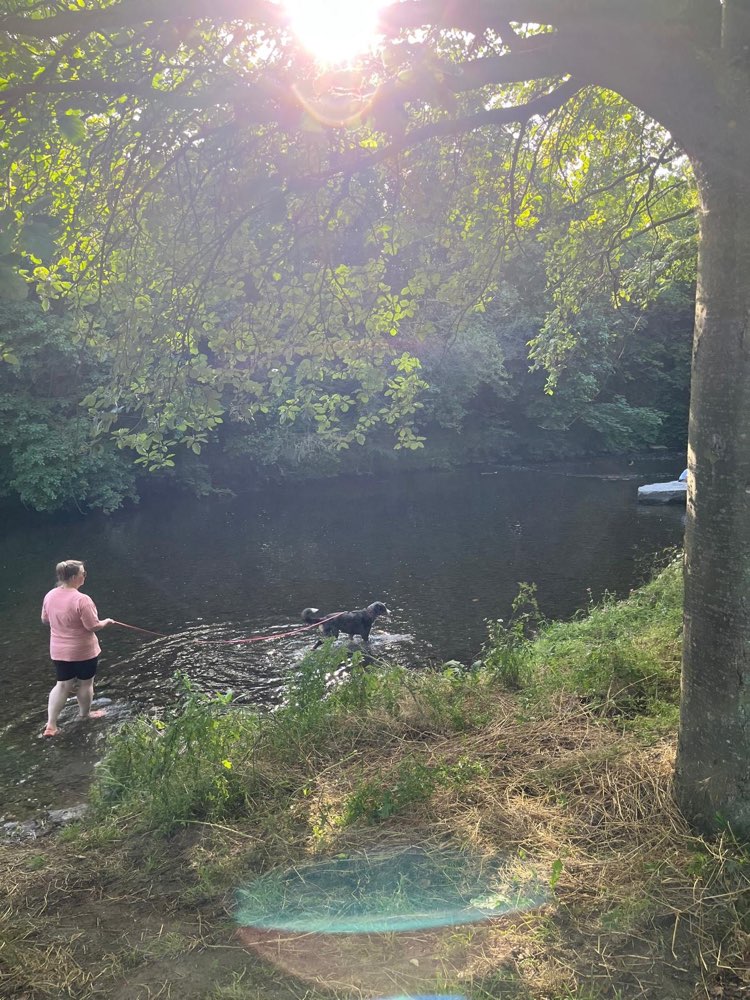 Hundetreffen-Mantrailing-Profilbild