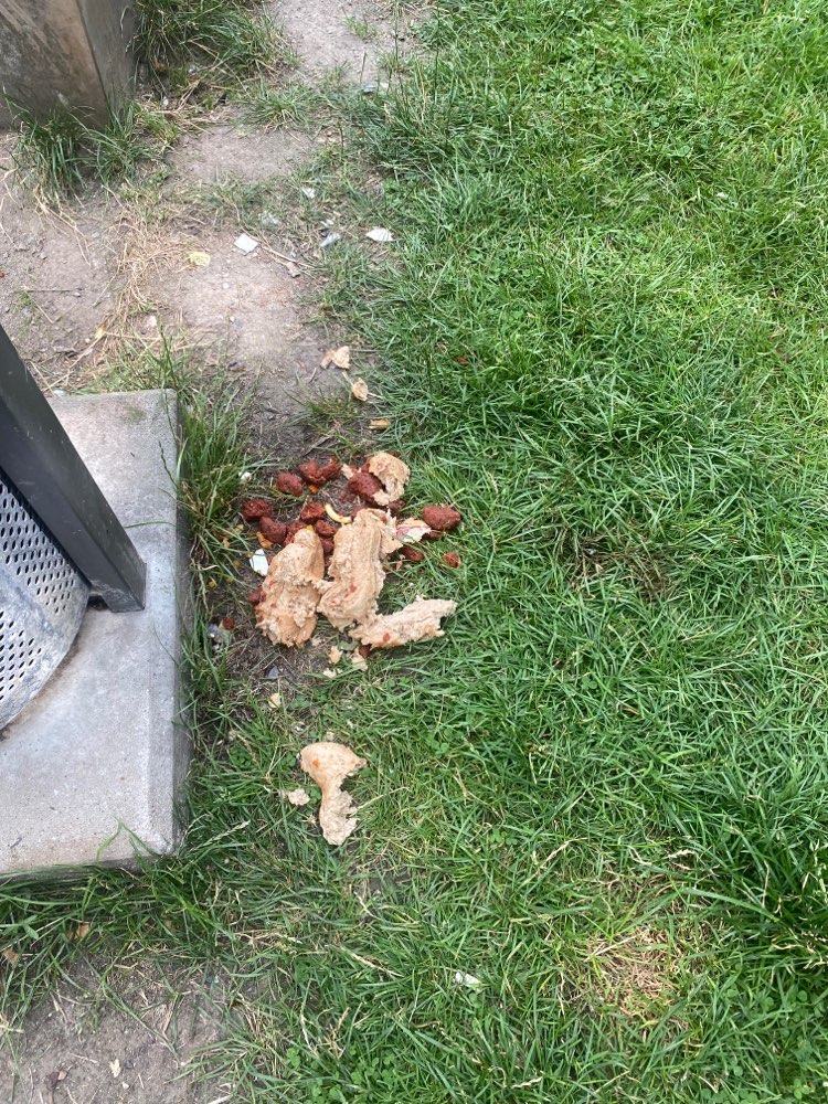 Giftköder-Futter ausgelegt (ggf. Giftköder)-Profilbild