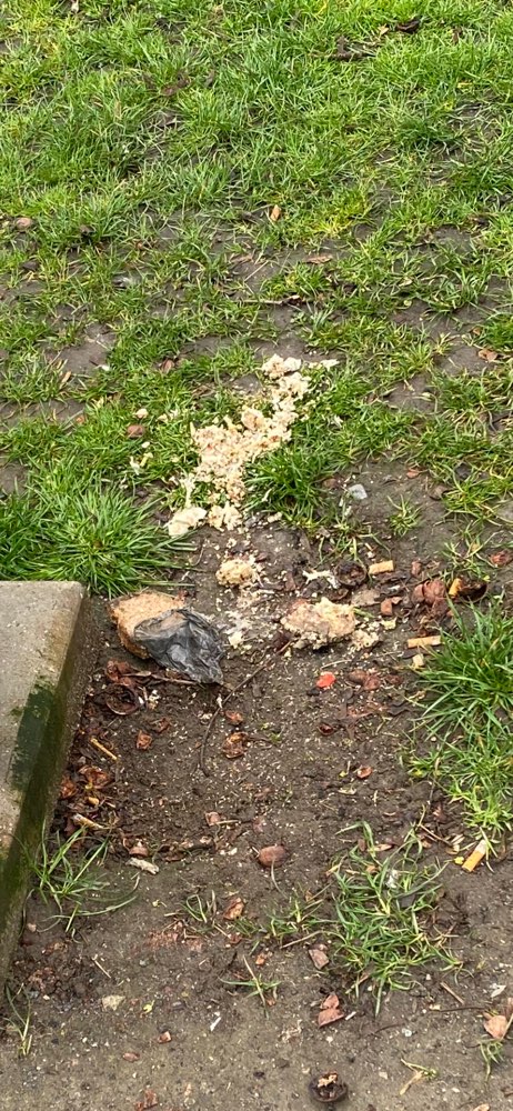 Giftköder-Mögliche Giftköder / ausgelegtes Futter-Profilbild