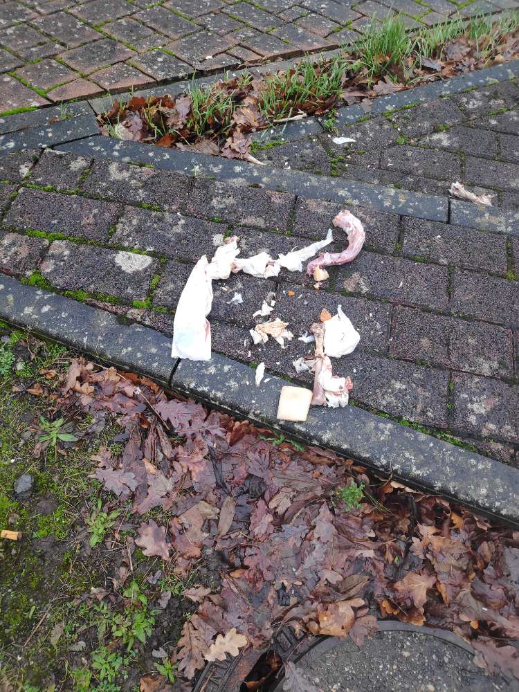 Giftköder-Hühnerhälse-Profilbild