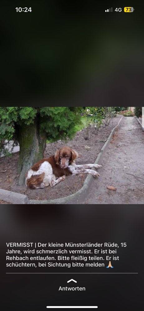 Suchmeldung-Max-Profilbild