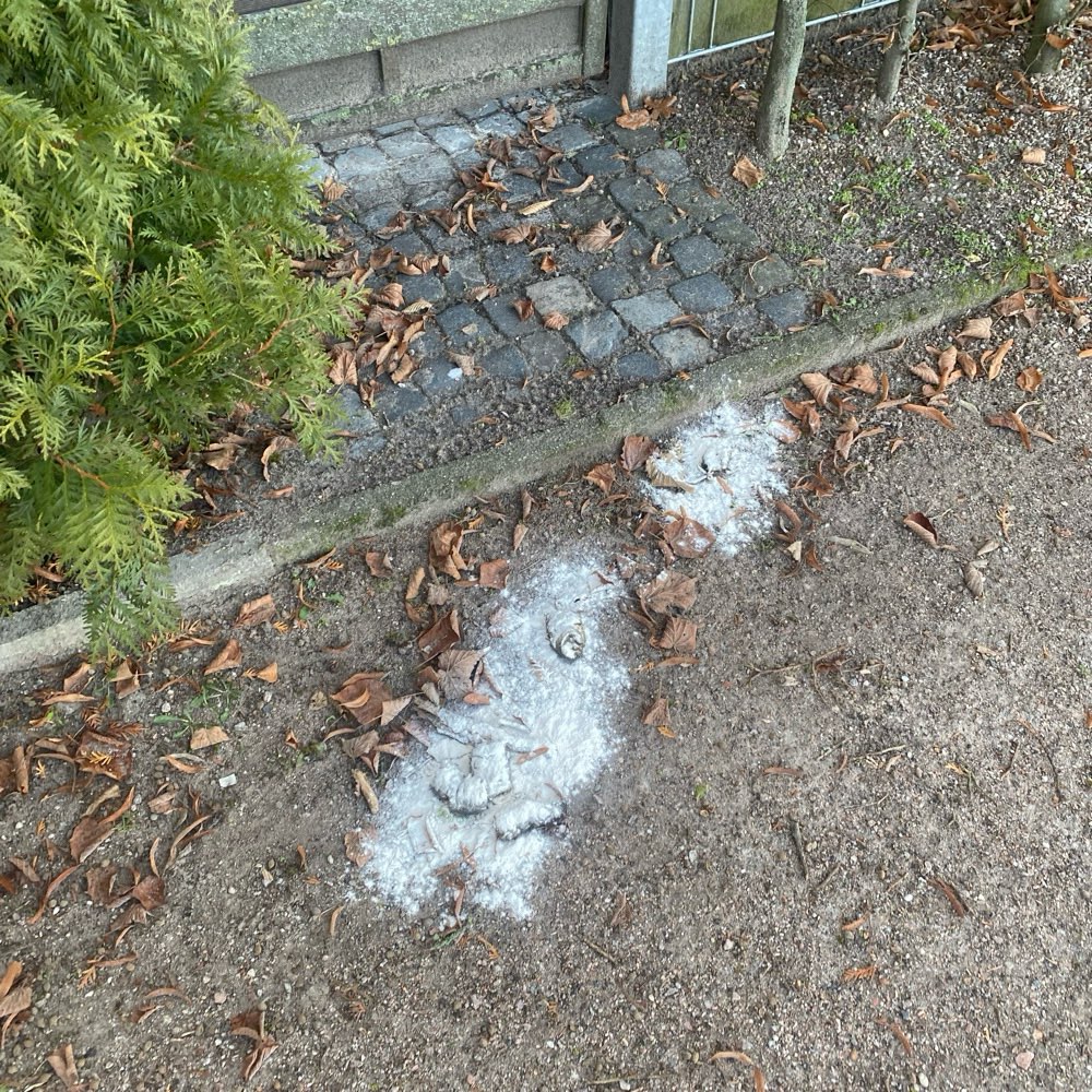 Giftköder-Vermehrt potenzielles Gift-Profilbild