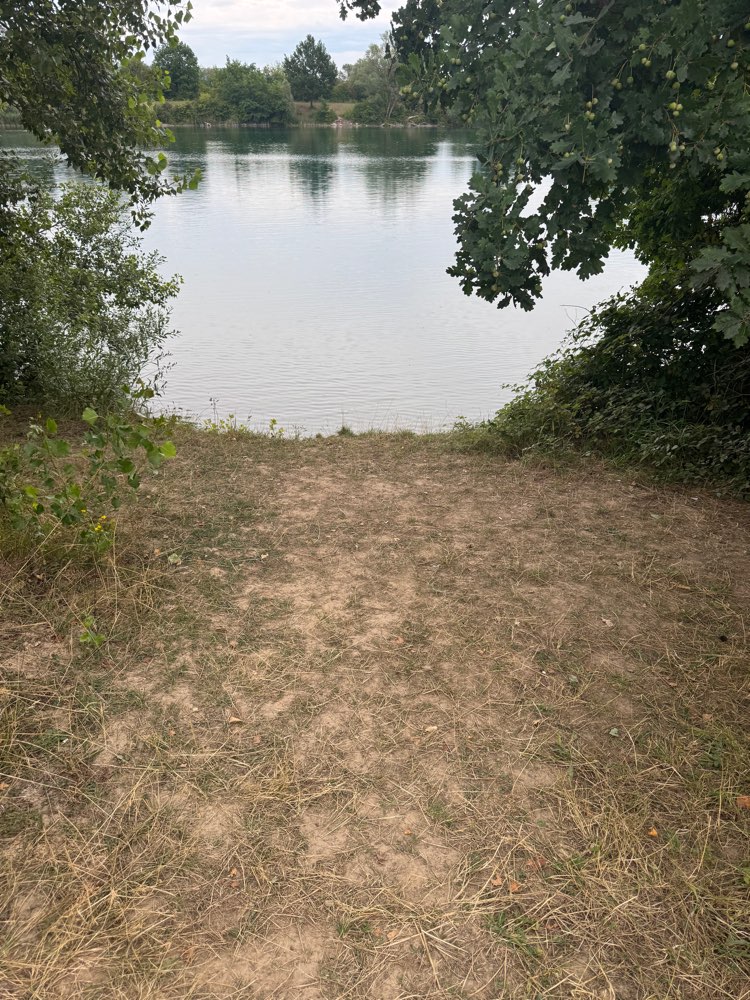 Giftköder-Möglicher Giftköder - evtl. Rattengift-Profilbild