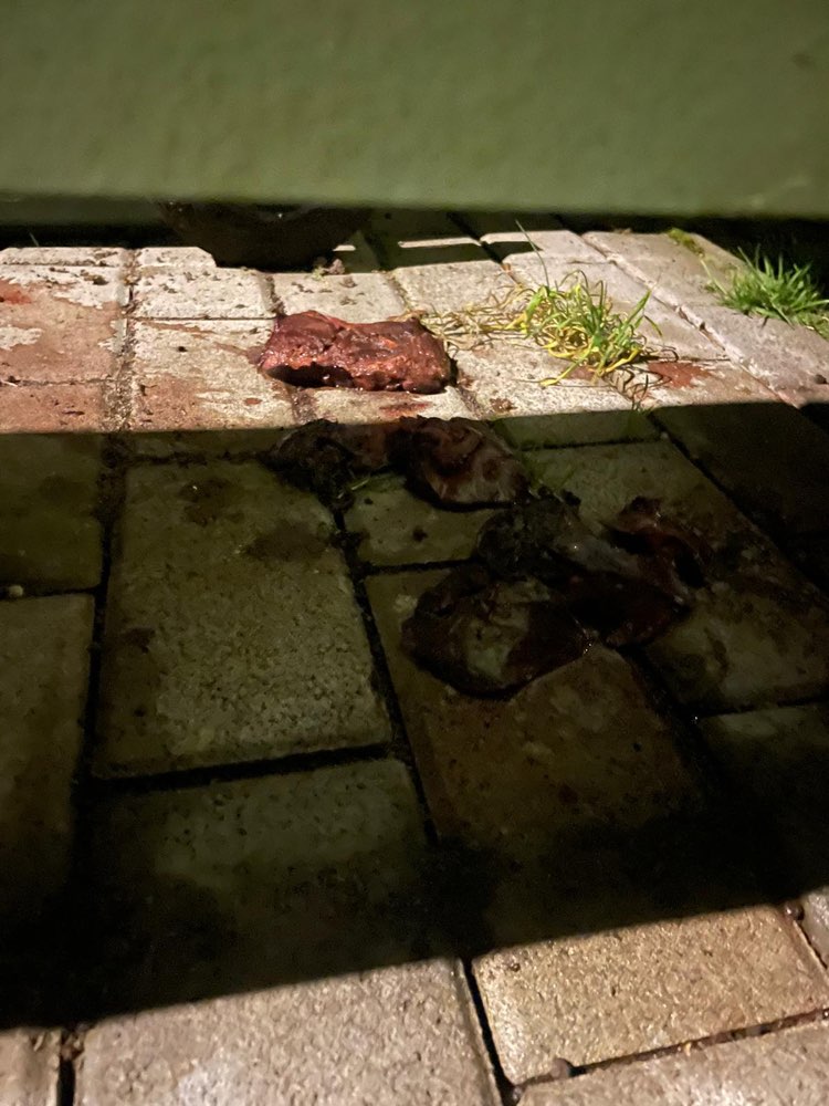 Giftköder-Verdächtiges Fleisch-Profilbild