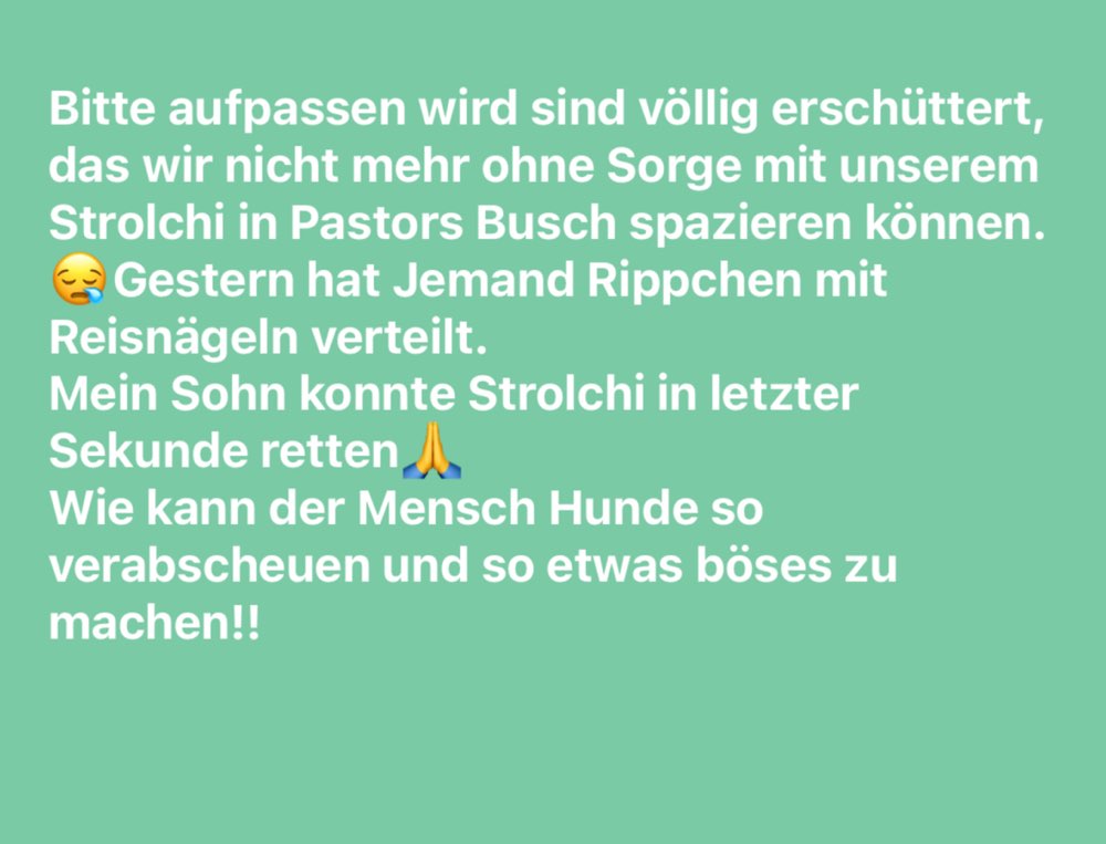 Giftköder-Rippchen mit Reisnägeln-Profilbild