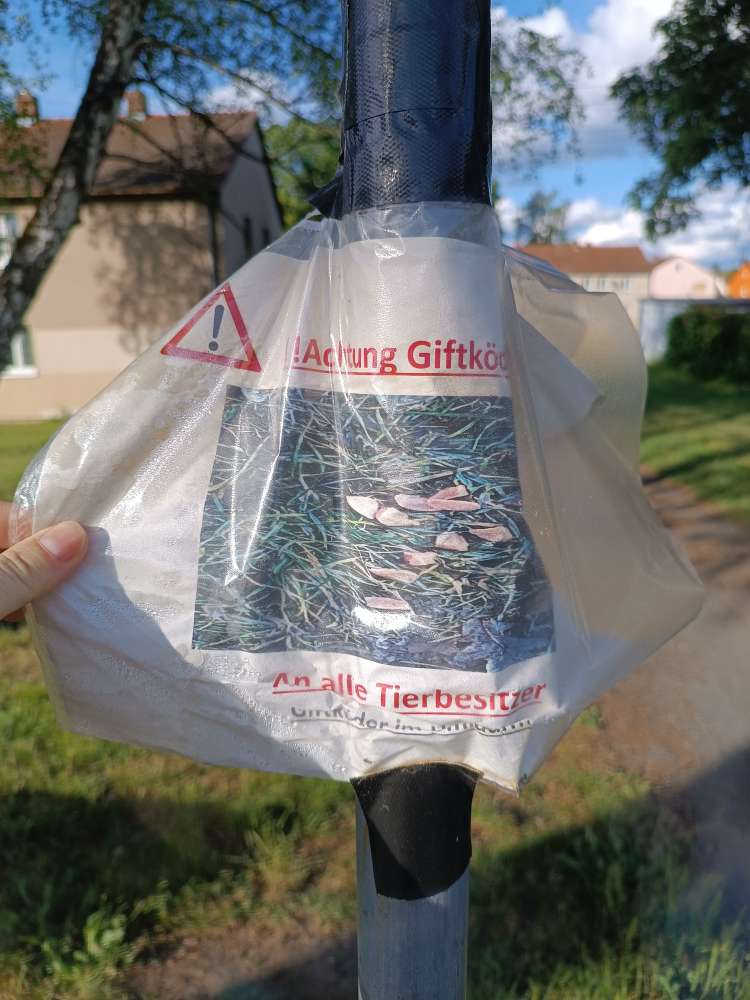 Giftköder-Achtung Giftköder-Profilbild
