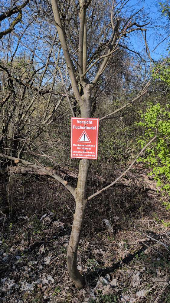 Giftköder-Fuchsräude Abfanggraben-Profilbild