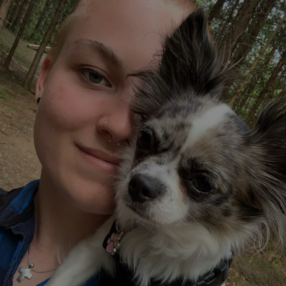 Hundetreffen-Gassirunde + Toben + Social Walk-Profilbild