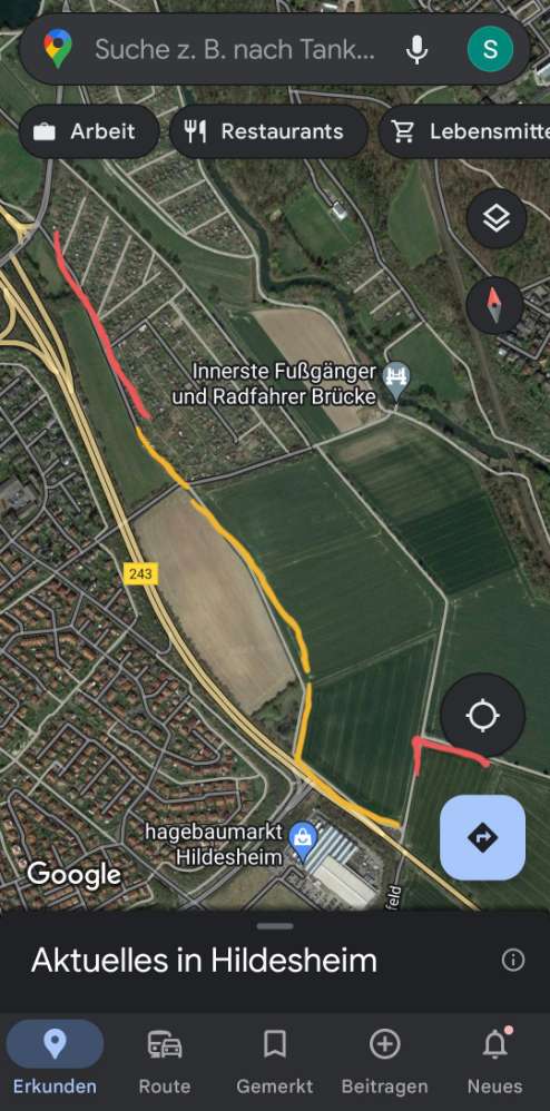 Giftköder-Riesen-Bärenklau am Entenpfuhl-Profilbild