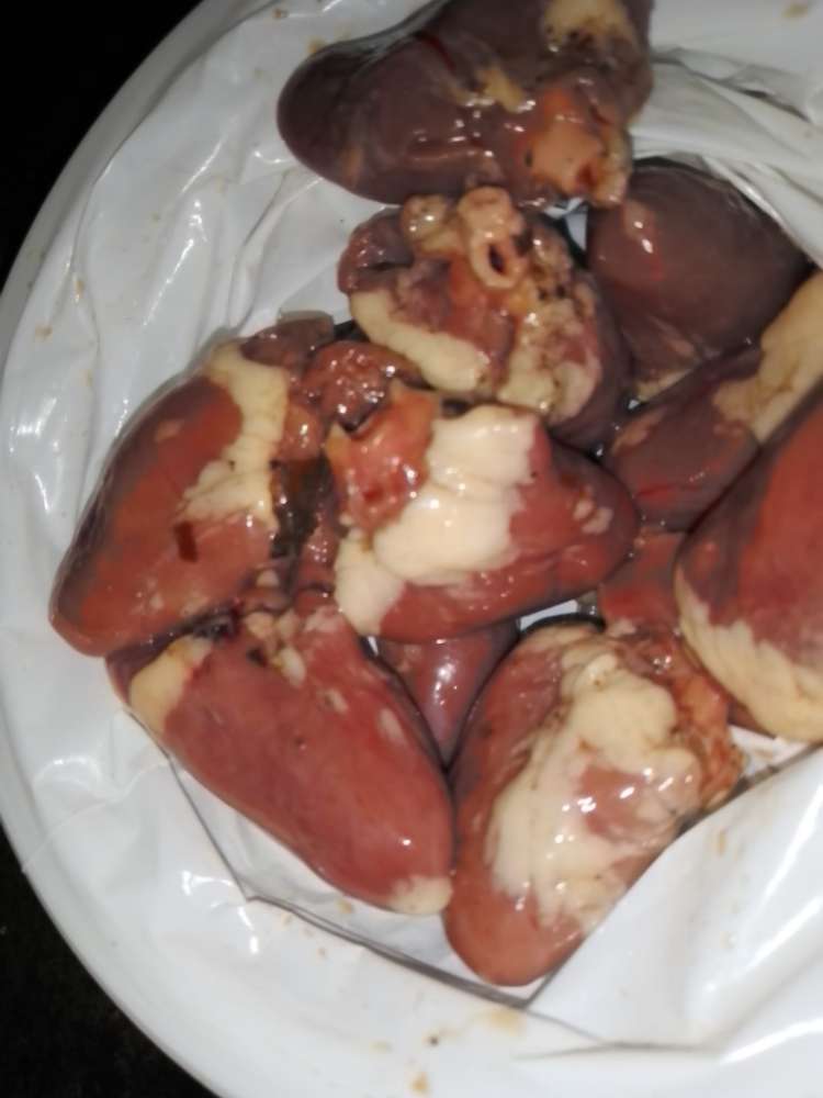 Giftköder-Ausgelegte Hühnerherzen-Profilbild