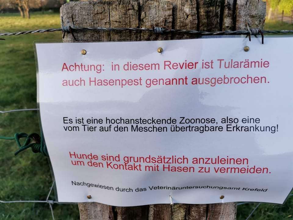 Giftköder-***Achtung Hasenpest***-Profilbild